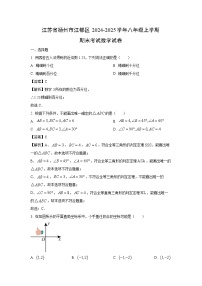 江苏省扬州市江都区2024-2025学年八年级上学期期末考试数学试卷（解析版）