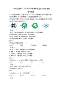 广西防城港市2024-2025学年九年级上学期期中检测数学试卷（解析版）