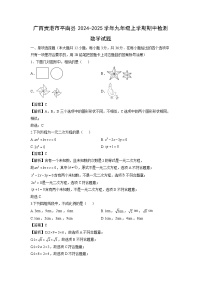 广西贵港市平南县2024-2025学年九年级上学期期中检测数学试卷（解析版）
