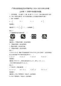 广西壮族自治区贺州市昭平县2024-2025学年九年级上学期11月期中考试数学试卷（解析版）
