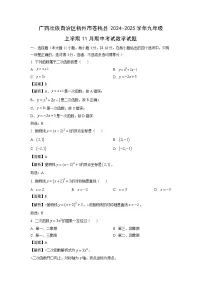 广西壮族自治区梧州市苍梧县2024-2025学年九年级上学期11月期中考试数学试卷（解析版）