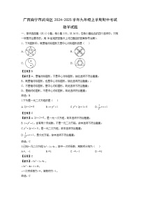 广西南宁市武鸣区2024-2025学年九年级上学期期中考试数学试卷（解析版）