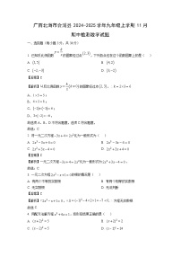 广西北海市合浦县2024-2025学年九年级上学期11月期中检测数学试卷（解析版）