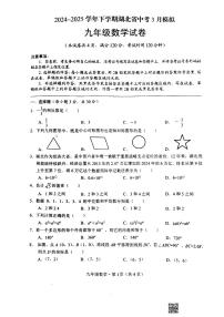 湖北省荆州市2024-2025学年九年级下学期3月月考数学试题（附参考答案）