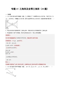 2023年全国中考数学真题分类汇编：专题15 三角形及全等三角形（共30题）（解析版）