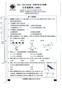 河北廊坊2024-2025学年七年级下学期3月月考数学试题+答案