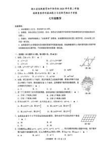 浙江创新教育初中协作体2024-2025学年七年级下学期创新素养与创新思维水平考察数学试题+答案