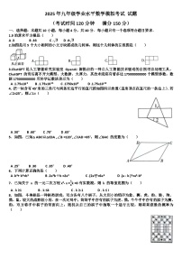 2025年九年级下学期数学模拟考试试题以及答案(适用北师大版)