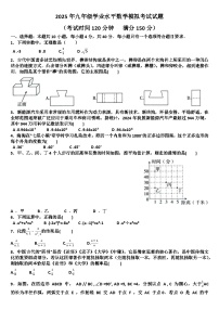 2025年九年级下学期数学模拟考试试题以及答案(适用北师大版)