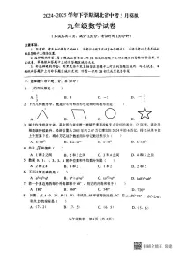 湖北荆州2024-2025学年九年级下学期3月月考数学试题+答案