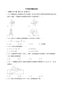2025年广东省深圳市中考数学模拟试卷附答案