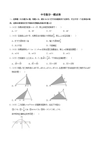 2025年上海市崇明区中考数学一模试卷附答案