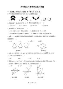 广东中山共进联盟2024-2025学年九年级下学期3月月考数学试题（含答案）