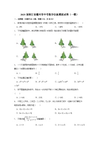 2025届浙江省衢州市中考数学仿真模拟试卷（一模）合集2套（附答案）
