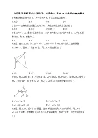 中考数学高频考点专项练习：专题13 考点26 三角形的有关概念 (1)及答案
