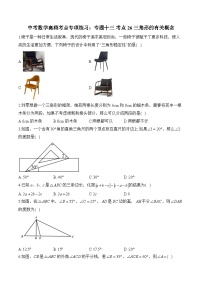 中考数学高频考点专项练习：专题13 考点26 三角形的有关概念 (2)及答案
