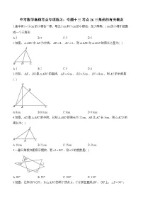 中考数学高频考点专项练习：专题13 考点26 三角形的有关概念 (3)及答案