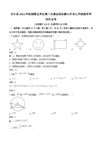 四川省泸州市合江县第五片区2025届九年级上学期第二次联考数学试卷(含解析)