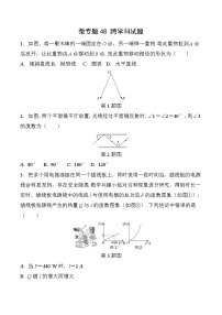 48 跨学科试题-2025版数学中考二轮总复习微专题讲义