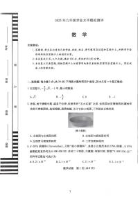 2025年新乡市九年级中考一模数学试卷及答案