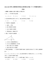 2024-2025学年上海市闵行区民办文来学校七年级（下）月考数学试卷（3月份） （含解析）