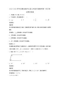 2022-2023学年安徽合肥庐江县七年级下册数学第一次月考试卷及答案