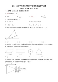2025年山东省东营市2024-2025学年下学期九年级模拟一模数学试题（原卷版+解析版）