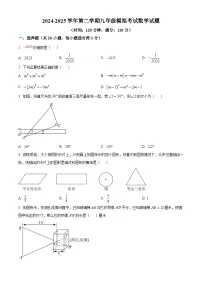 2025年山东省东营市2024-2025学年下学期九年级模拟一模数学试题（原卷版+解析版）