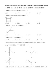 2025年陕西省西安市陕西师范大学附属中学中考三模数学试卷（原卷版+解析版）