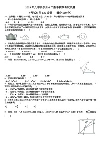 2025年九年级下学期数学模拟考试试题以及答案(适用北师大版)