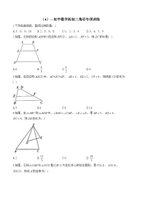 中考数学一轮复习 相似三角形专项训练4(含答案)