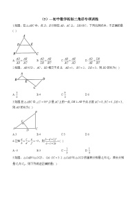 中考数学一轮复习 相似三角形专项训练5(含答案)