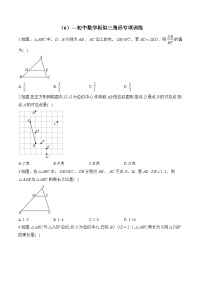 中考数学一轮复习 相似三角形专项训练6(含答案)
