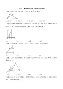 中考数学一轮复习 相似三角形专项训练7(含答案)