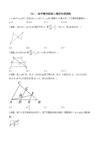 中考数学一轮复习 相似三角形专项训练8(含答案)