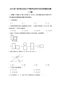 2025届广西壮族自治区中考数学适应性考试仿真模拟试题合集2套（含解析）