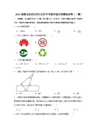 2025届湖北省武汉市江汉区中考数学适应性模拟试卷合集2套（含解析）