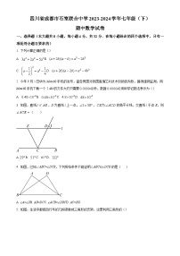 精品解析：四川省成都市成都市石室联合中学2023-2024学年七年级下学期期中数学试题（原卷版）