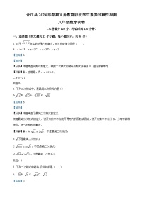 精品解析：四川省泸州市合江县2023-2024学年八年级下学期期中考试数学试题（解析版）
