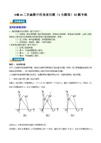 专题08 二次函数中的角度问题 (4大题型)40题专练-2025年中考数学压轴训练