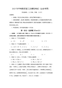 2025年中考数学第二次模拟考试（山东专用）