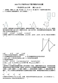 2025年九年级下学期数学模拟考试试题以及答案(适用北师大版)