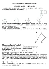 2025年九年级下学期数学模拟考试试题以及答案(适用北师大版)