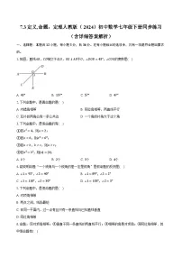 人教版（2024）七年级下册（2024）定义、命题、定理精品同步达标检测题