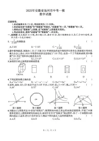 2025年安徽省池州市中考一模数学试卷(试题+解析)