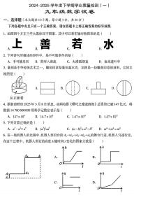 湖北武汉东西湖区 2024-2025学年九年级下学期3月月考数学试题+答案