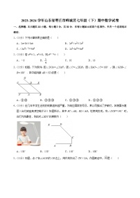 2023-2024学年山东省枣庄市峄城区七年级（下）期中数学试卷