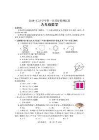 2025年河南省焦作市沁阳市九年级中考一模数学试卷及答案