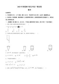 2025年河南省驻马店市平舆县中考一模数学试题