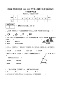 河南省信阳市淮滨县2024-2025学年八年级上学期11月期中考试数学试卷(含答案)